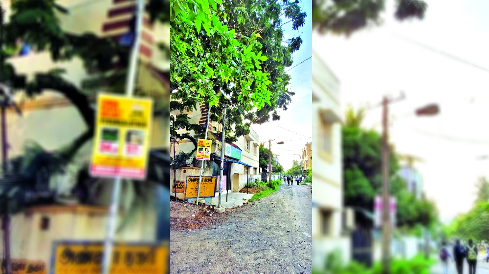 Tree branches over LT line a worry for residents