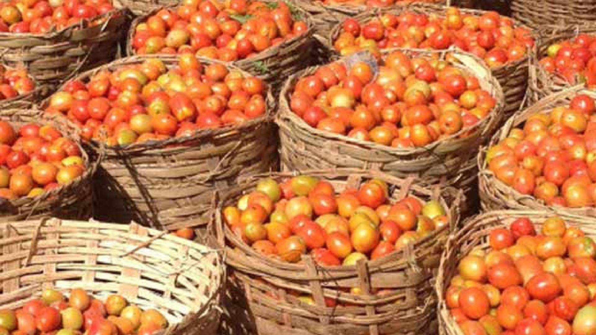 On par with fuel, tomato prices in Koyambedu burn hole in pockets