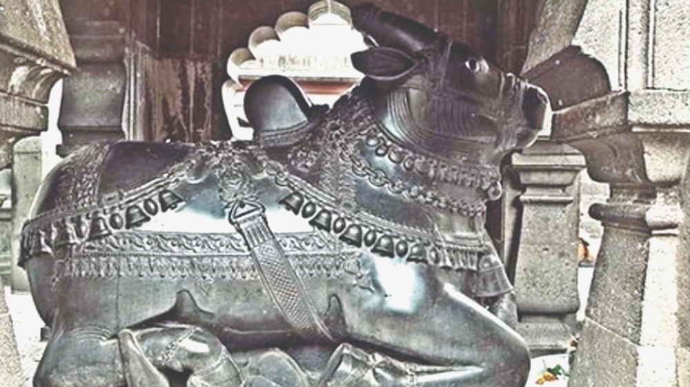 Nandi idol not facing Gyanvapi mosque in Varanasi