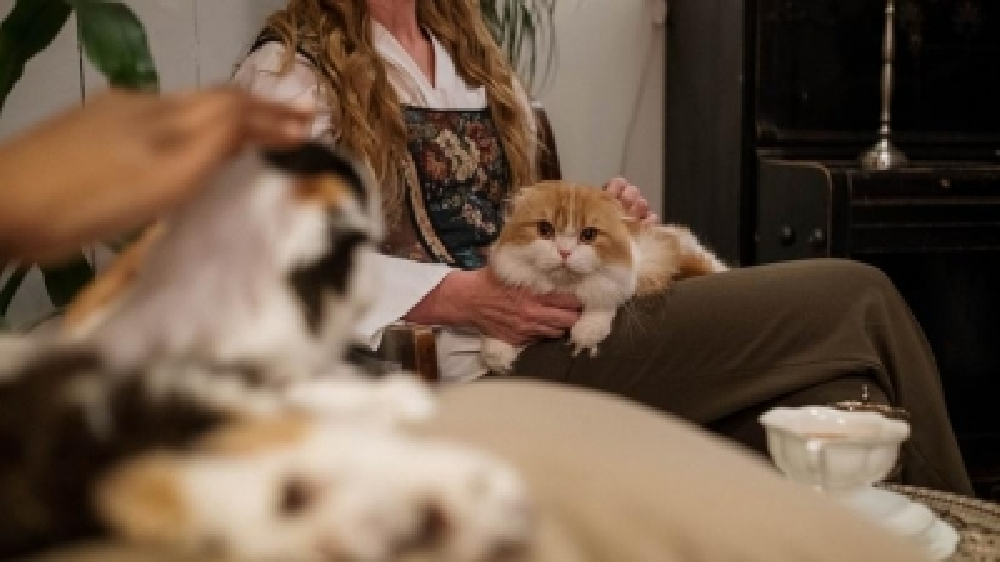 Worry less, travel more with your fur babies