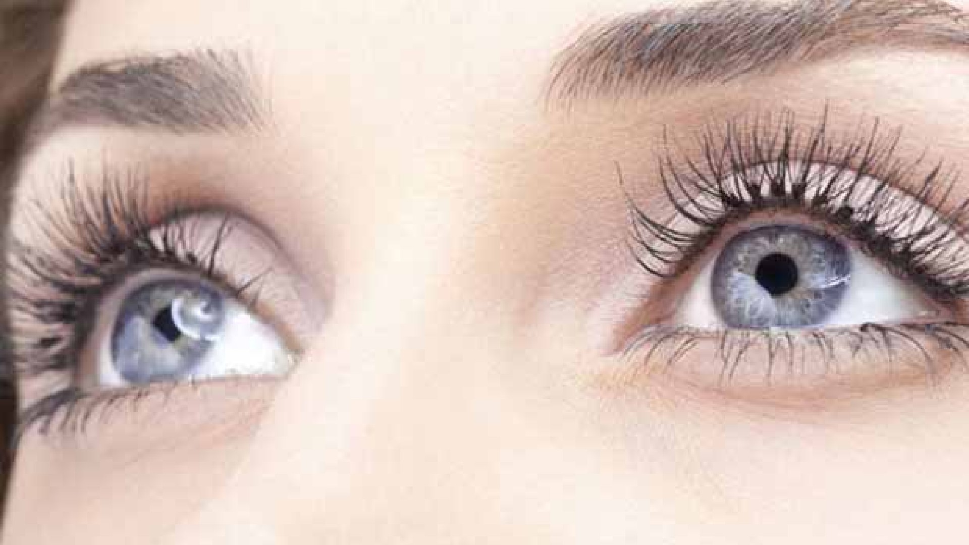 Vision scientists revive light-sensing cells in eyes of dead people