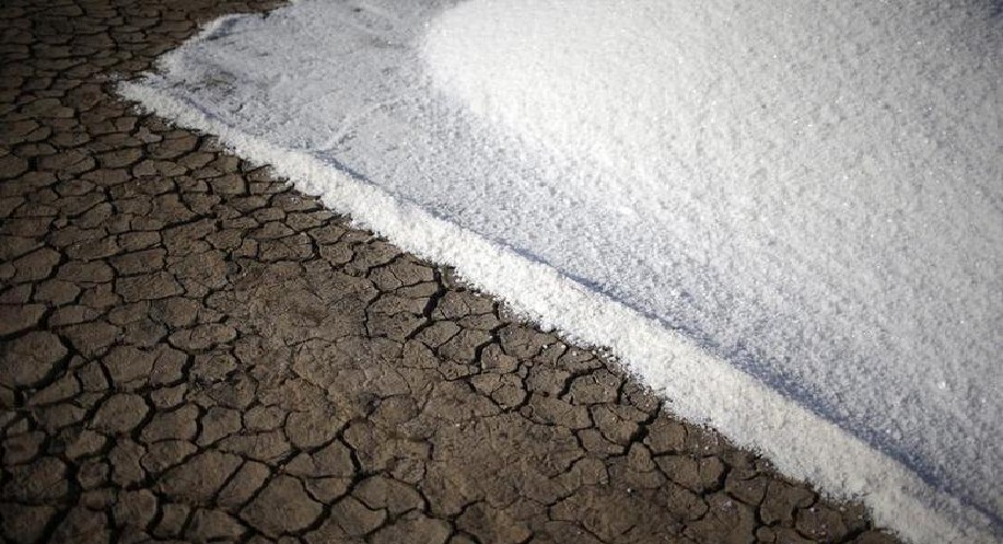 Will request leniency in salt quality to Centre, says Ma Subramanian