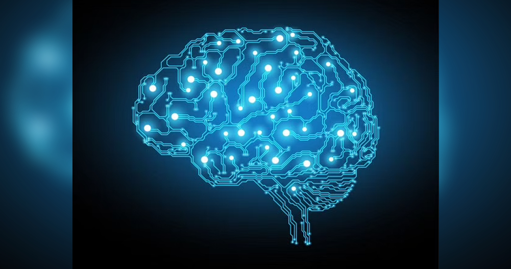 Research suggests brain circuit in thalamus helps to hold info in mind