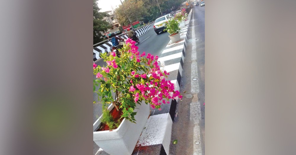 Potted plants to adorn medians on major Chennai roads
