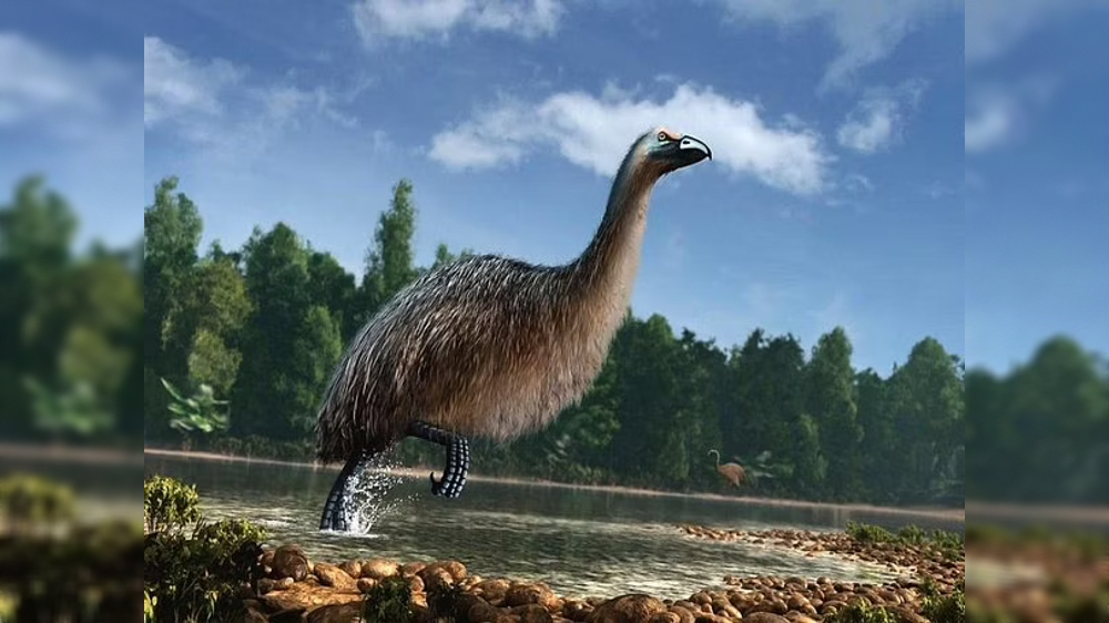 DNA provides unique insights of moa and climate change: Study