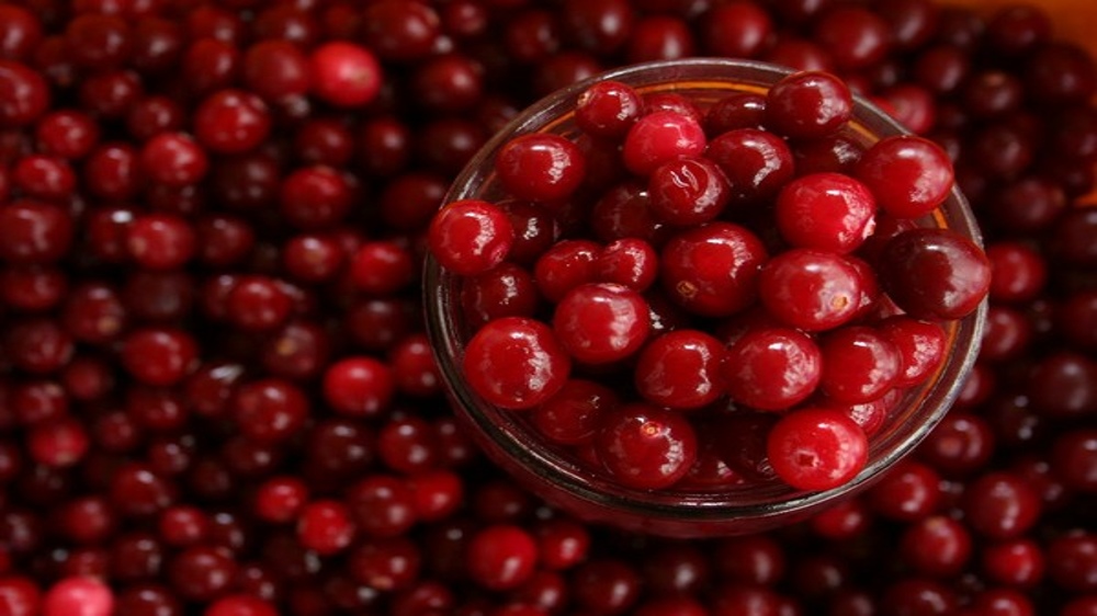 Cranberries could improve memory and beat back dementia: Study