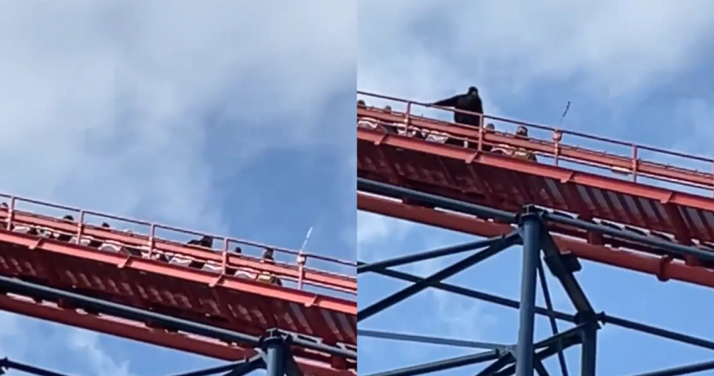 Roller coaster malfunction: Riders in UK found hanging in air at 235 ft Roller coaster malfunction: Riders in UK found hanging in air at 235 ft