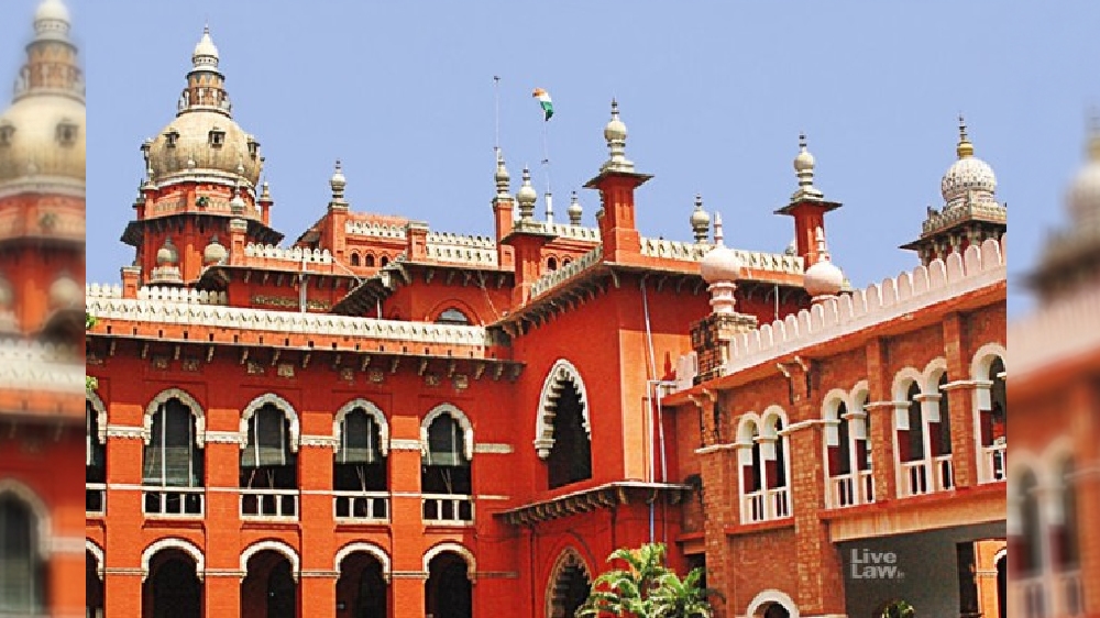 Witnessing love: HC grants custody of 2 minor kids to mother