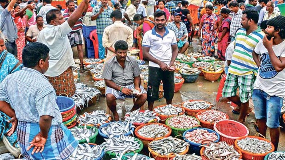 Seafood prices surged by 50% at Kasimedu market