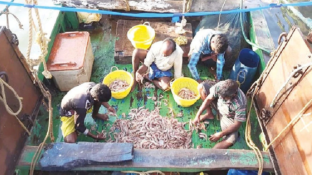 Seafood shortage, supply to Kerala lead to hike in prices at Kasimedu
