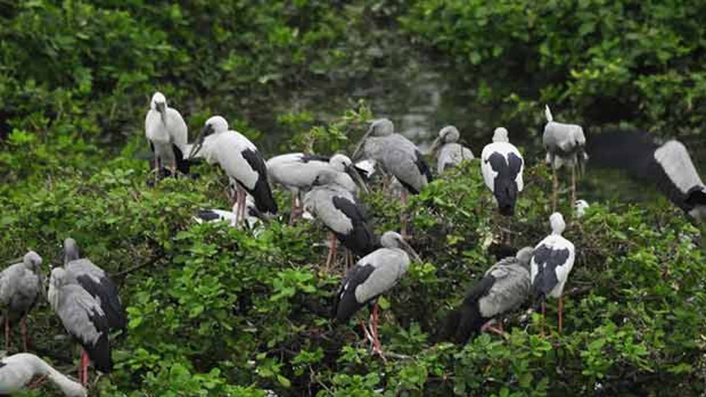 Maharashtra gets 12 new wildlife reserves, 3 sanctuaries