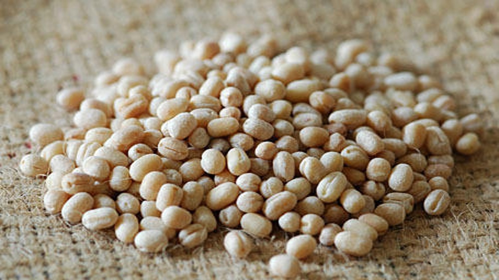 2,300 kg urad daal stolen from container in Thiruvottiyur yard