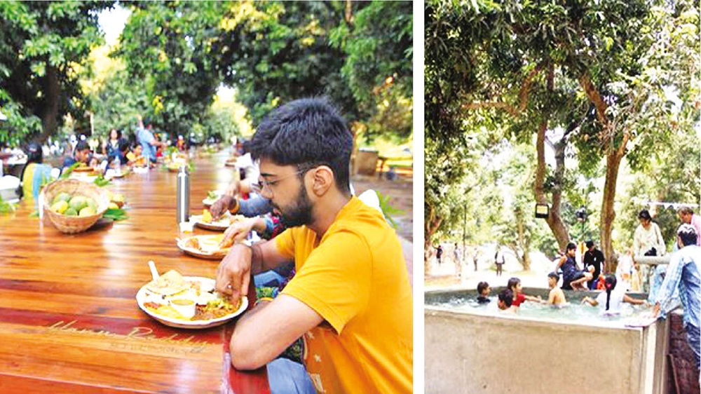 A mouthful of Malgova beckons at Mango fest