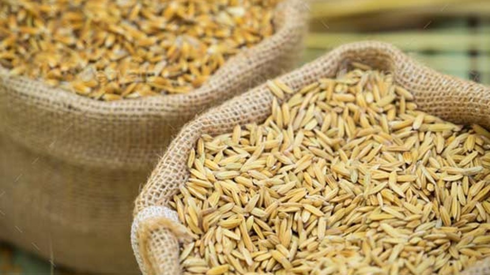 India exported 1.8 mn tn wheat since ban: Food Secy