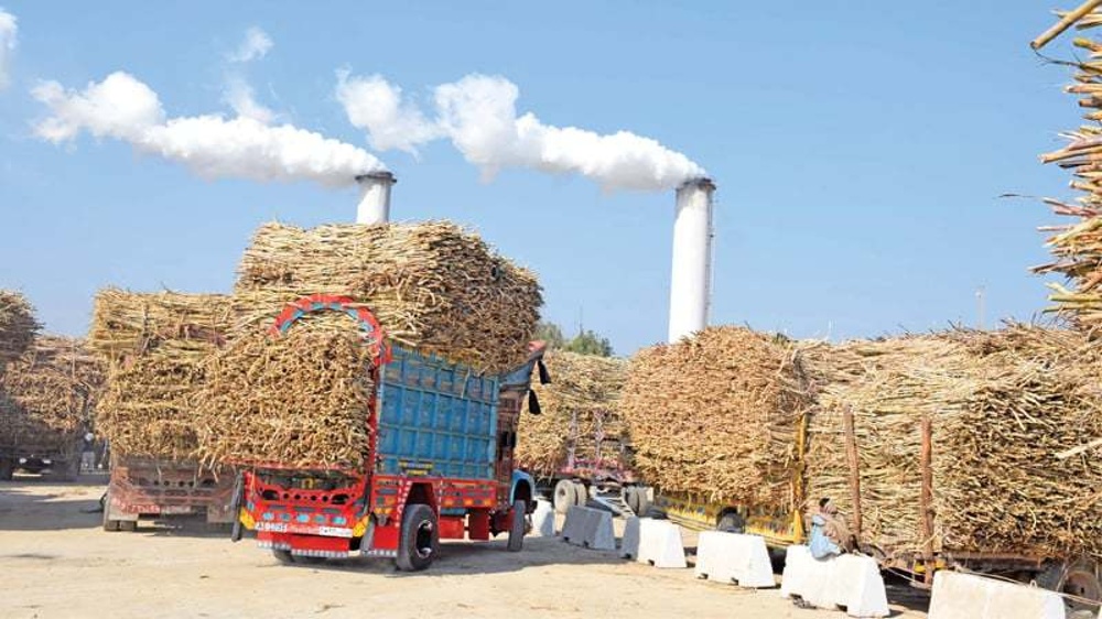 Delay in cane cutting: Vellore mill diverts load to Cheyyar facility