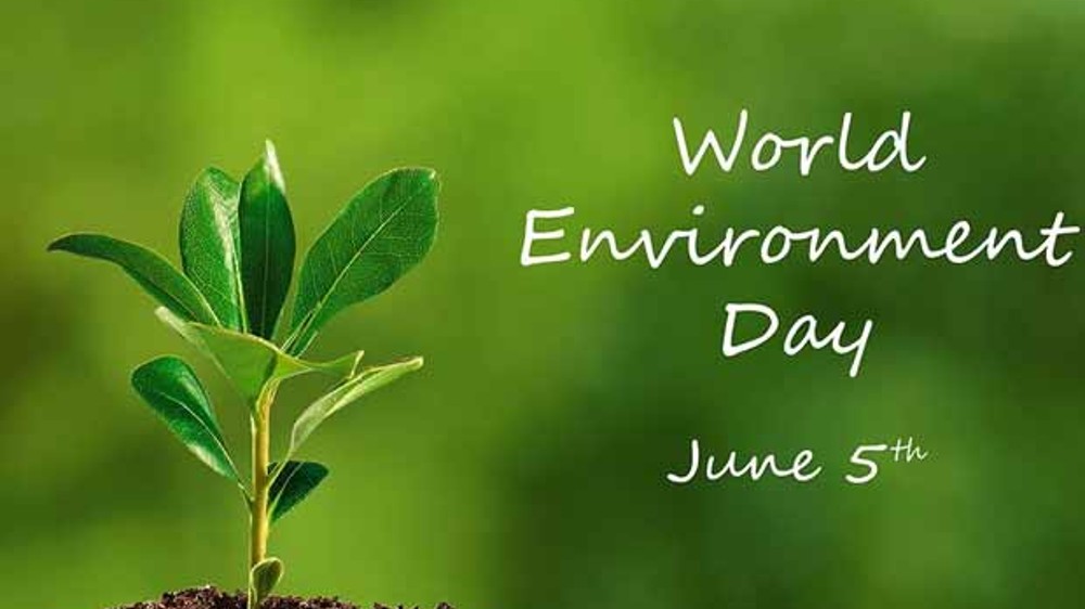 Brands walk a step ahead on World Environment Day