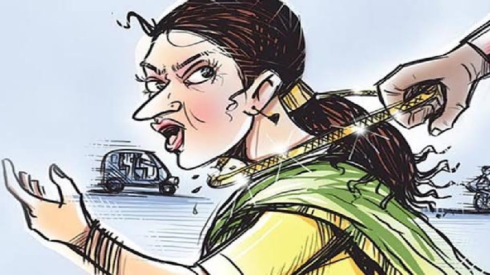 Public catch & handover chain snatcher to police