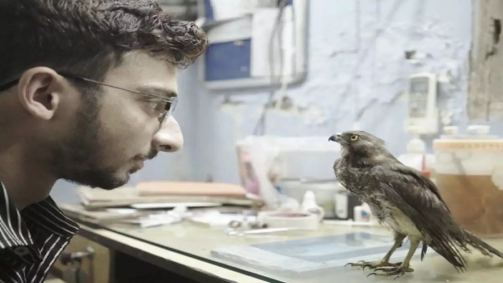 Editorial: Social awareness versus escapism