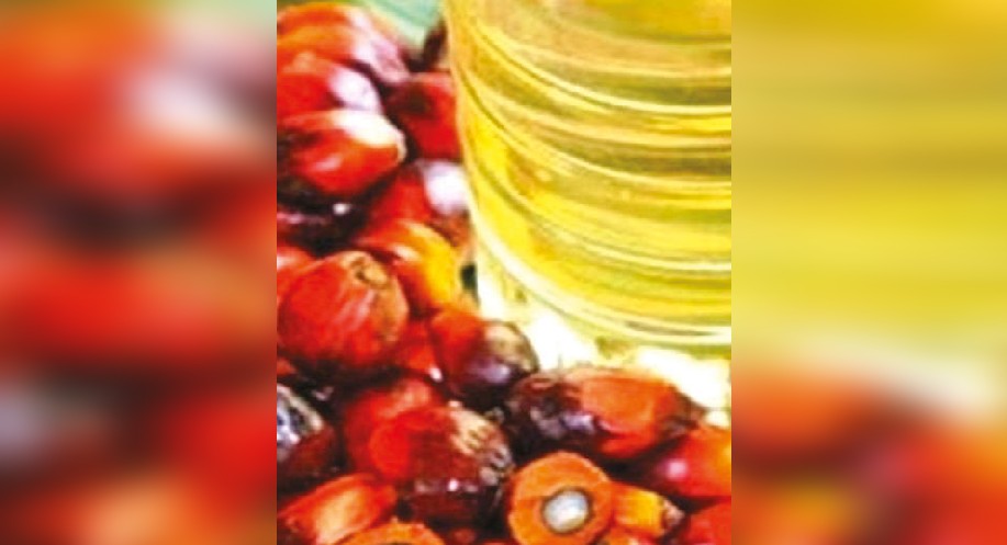 India’s palm oil imports dip 33% in May, says industry body SEA