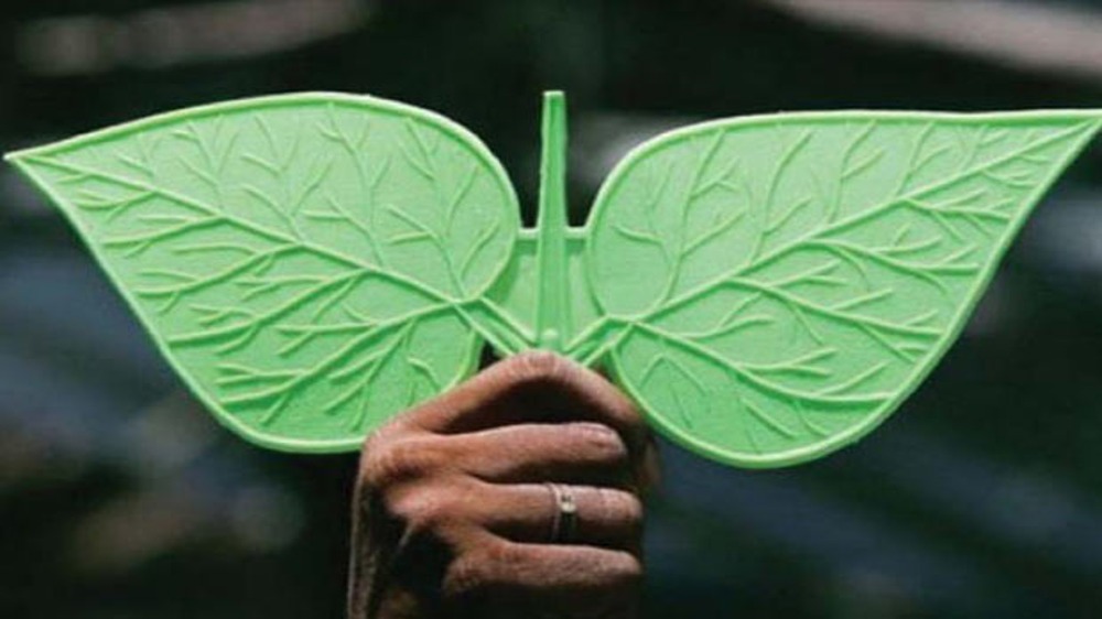 Have two leaves become a lotus?