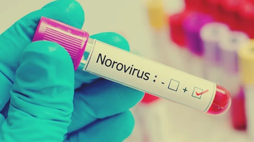2 Lower primary school students test positive for norovirus in Kerala