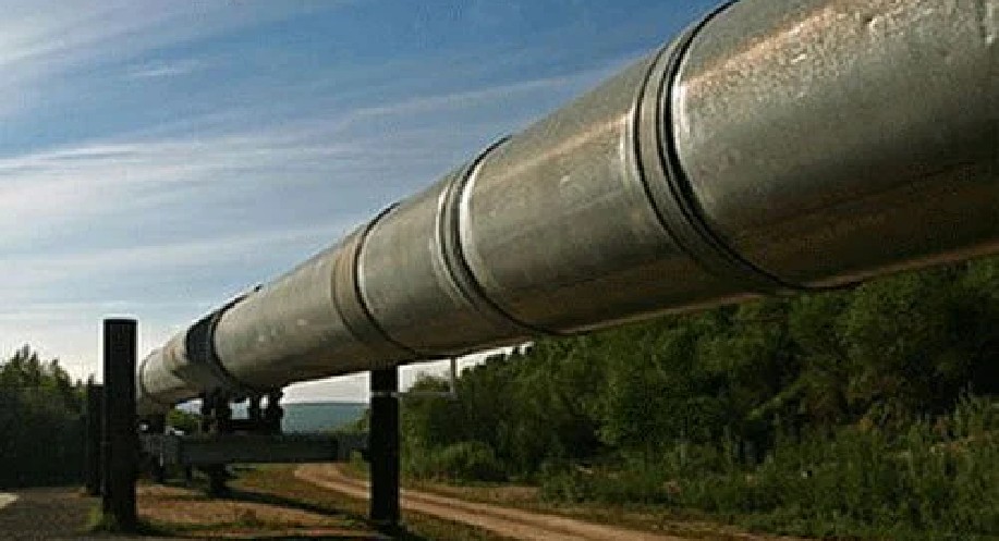 Tondiarpet residents panic after oil oozes out of abandoned pipes