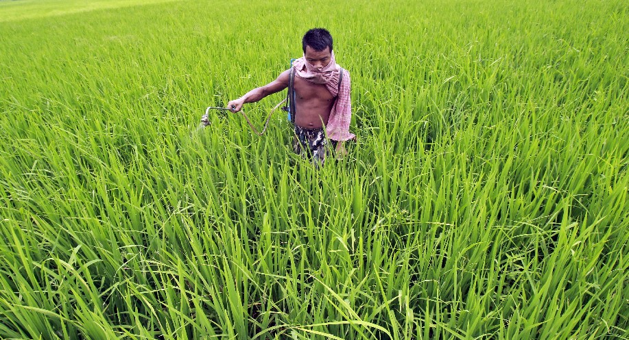 T’malai ryots face urea shortage