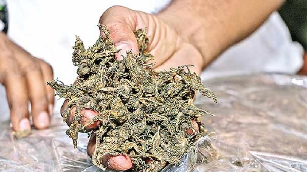 Dindigul police freeze illegally acquired assets of three ganja peddlers Dindigul police freeze illegally acquired assets of three ganja peddlers