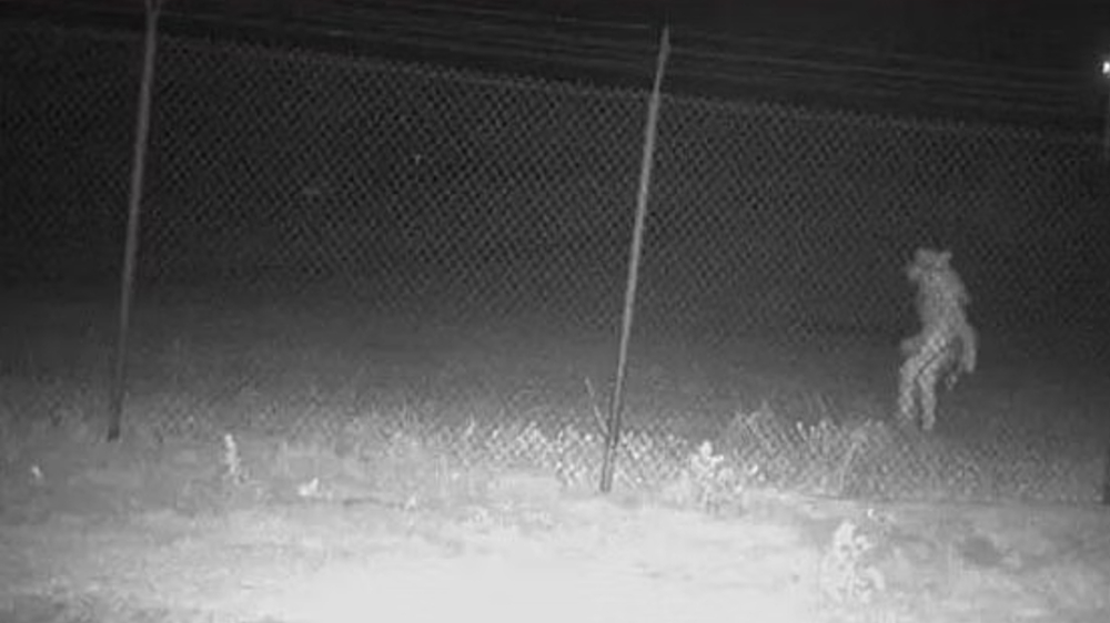 Texas zoo officials seek help to identify ‘strange’ creature Texas zoo officials seek help to identify ‘strange’ creature