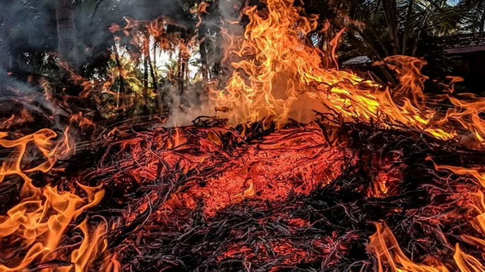 Over 14,430 acres damaged due to wildfires in Khyber Pakhtunkhwa Over 14,430 acres damaged due to wildfires in Khyber Pakhtunkhwa