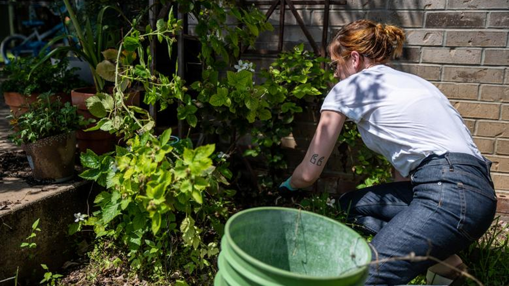 Protecting your garden before and after severe storms Protecting your garden before and after severe storms