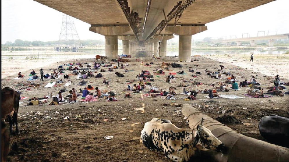 Bracing for a hotter world in days to come Bracing for a hotter world in days to come