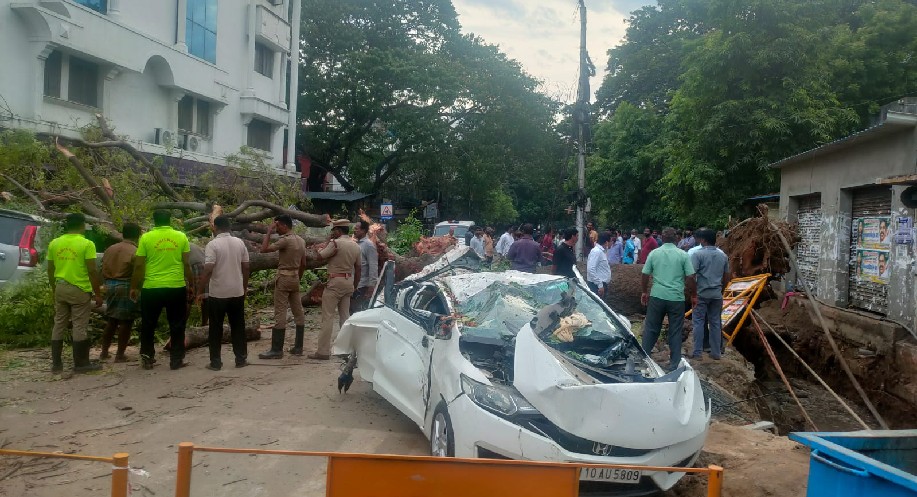 Tree falls on car in KK Nagar: Woman bank manager dead, 2 injured