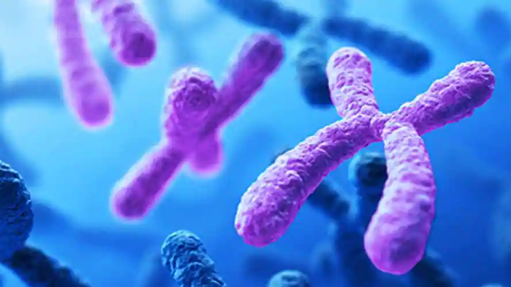 1 in 500 men carry extra sex chromosome raising risk of diseases