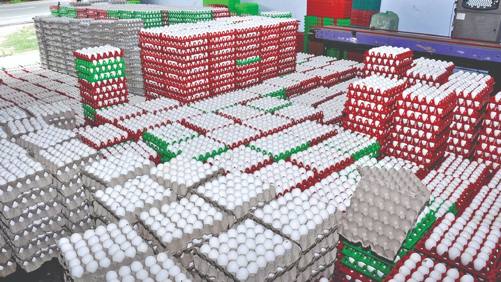 Egg on the boil as retail price zooms to Rs 6 apiece