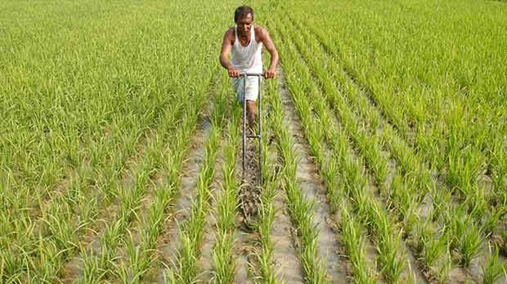 ₹100 hike inadequate, revise MSP increase to 25%: Farmers assn