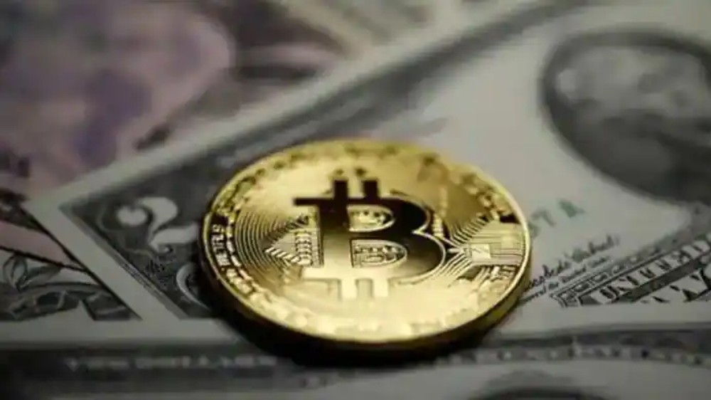 Woman petitions Collector to recover money lost to Bitcoin scam