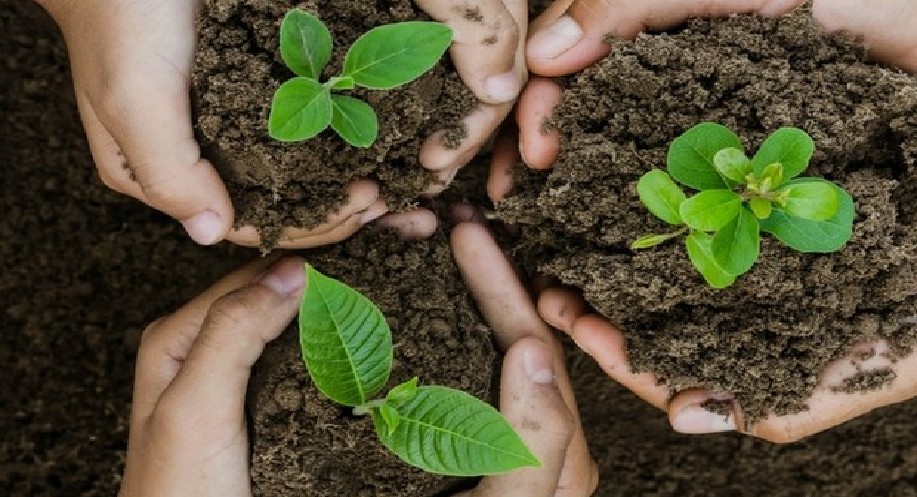 Indigenous tree planting along Adyar river intensified Indigenous tree planting along Adyar river intensified