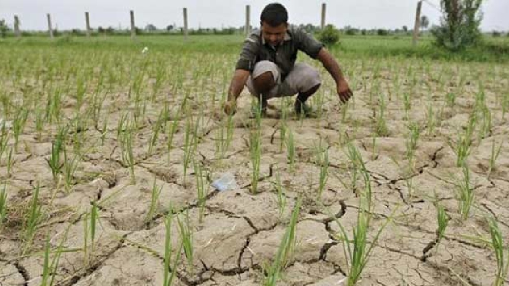 e-boost for 63K Primary Agriculture Credit Societies at Rs 2,516 crore