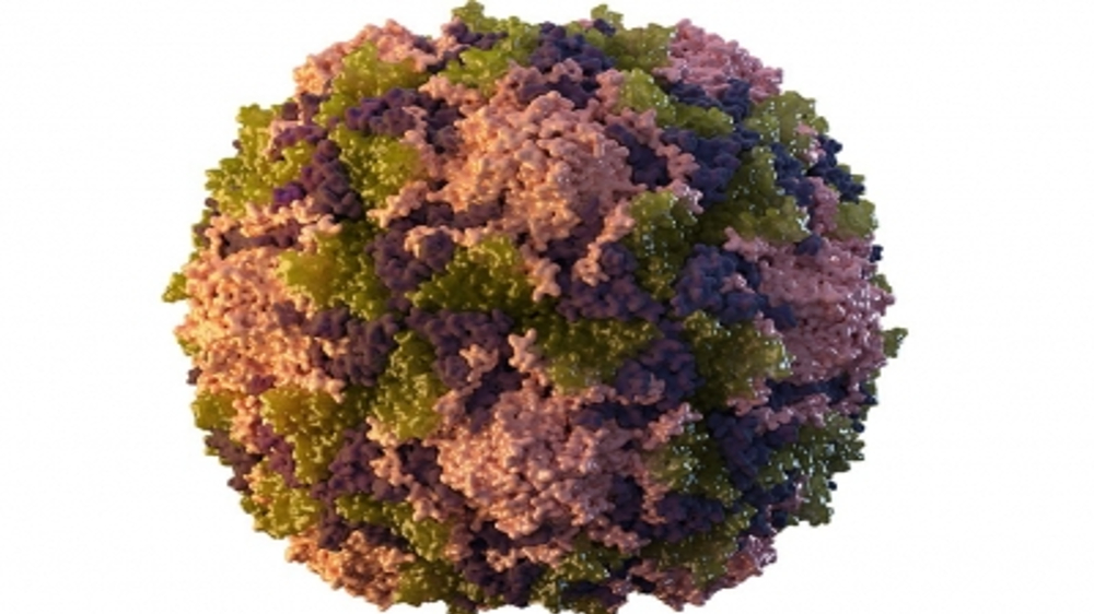 UK detects polio virus in London sewage samples