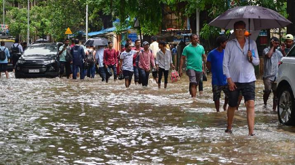 Heavy rains in Palghar; red alert for next 2 days