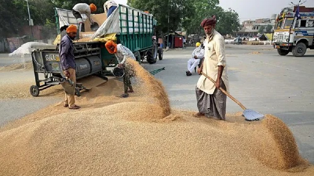 After ban on wheat, India restricts exports of flour