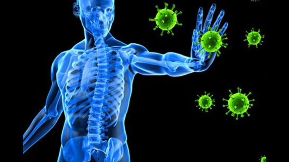 Enhance immunity for ailments-free monsoon season Enhance immunity for ailments-free monsoon season