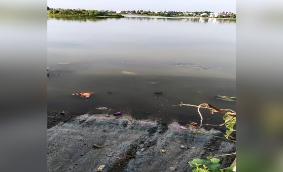 Sewage flows into Chitlapakkam lake; residents demand action
