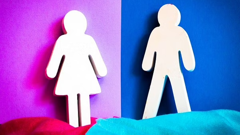 Gender bias in search algorithms has effect on users: Study