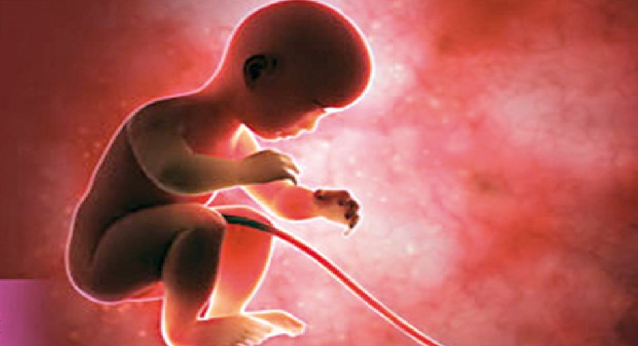 Cord blood banking is significant in treating blood cell ailments