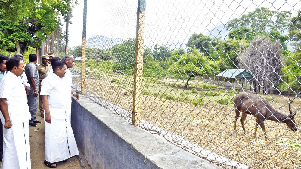 Kurumbapatti zoo expansion at Rs 8 cr: Minister
