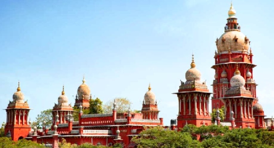 Serious action against litigants filing multiple petitions: HC
