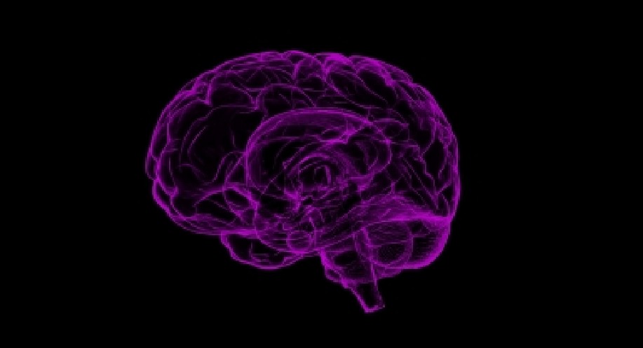 Study reveals possible cause of long Covid ‘brain fog’