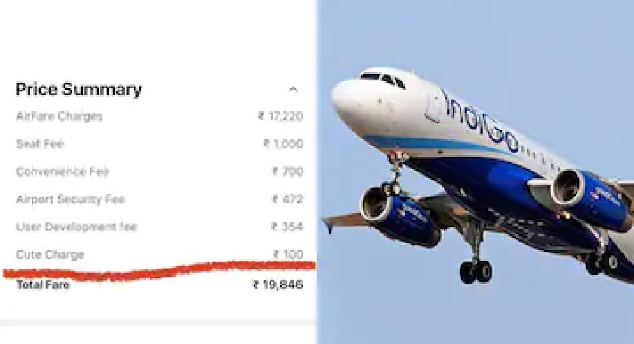 Internet confused with IndiGo charging ‘cute’ fee Internet confused with IndiGo charging ‘cute’ fee